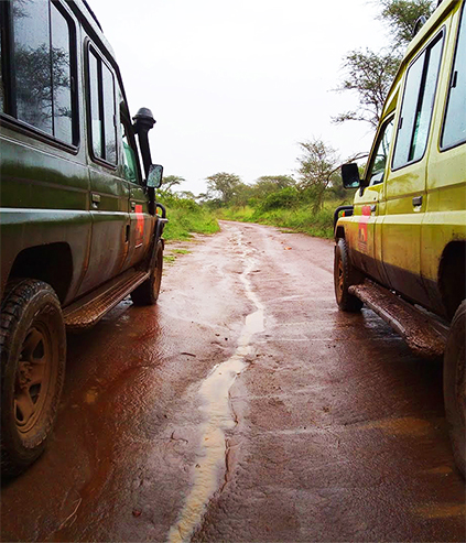 Two tourism land cruiser trucks parked near eachother | Ritz safaris 